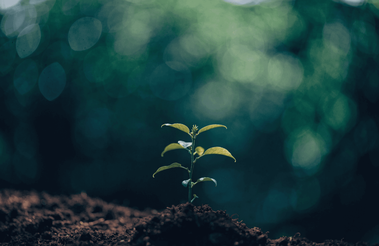 Long-Term Sustainable Growth